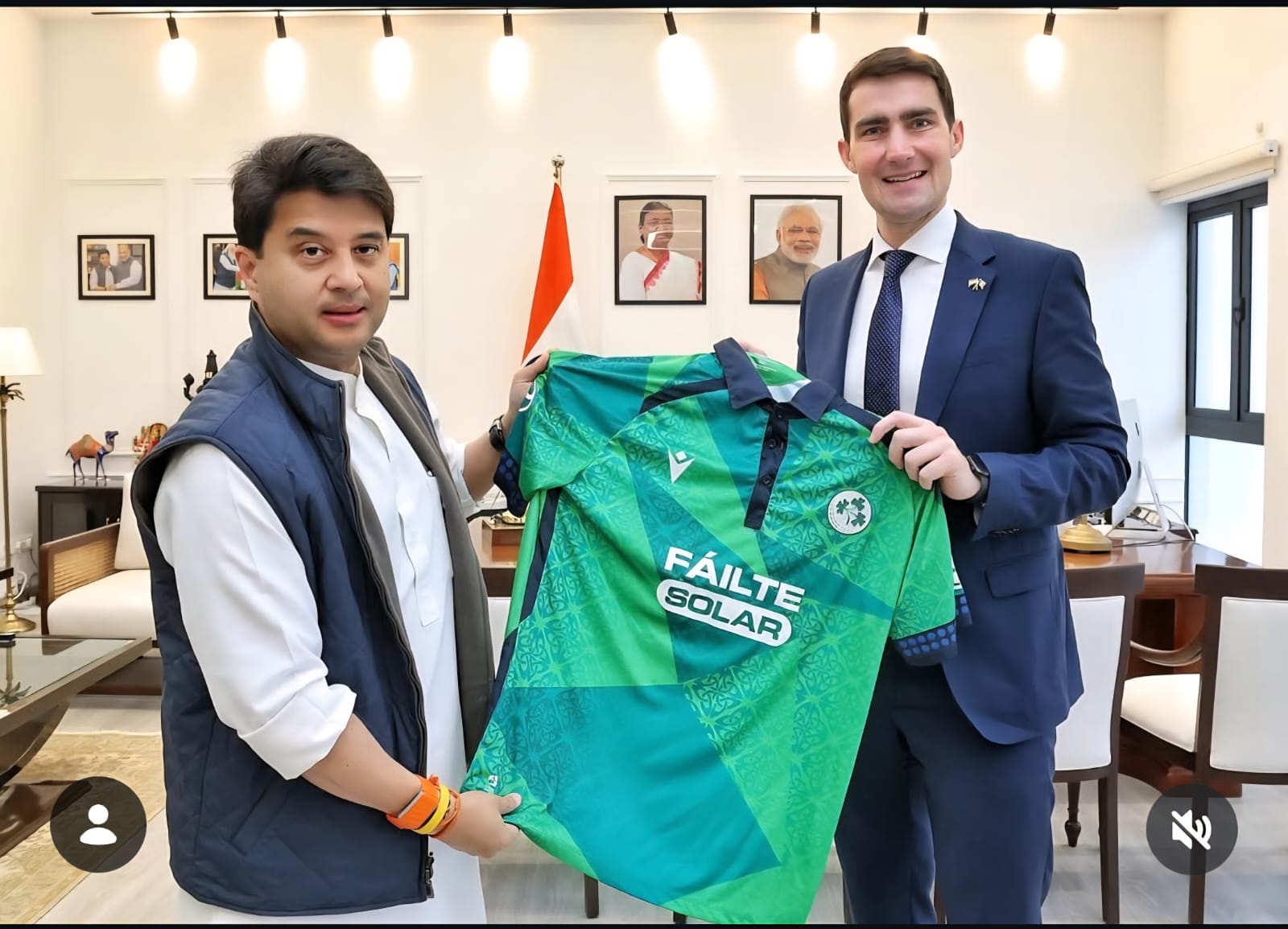 Cricket Ireland moment 12